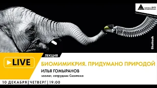 Онлайн-лекция "Биомимикрия. Придумано природой" в рамках проекта "Сколтех в Архэ