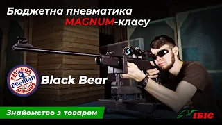 Огляд та тест пневматичної гвинтівки Beeman Black Bear | Пневматика | Ібіс