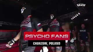 Poland vs Sweden MMA fight