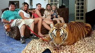 Unbelievable living with lions and tigers at home as a best friends 2018