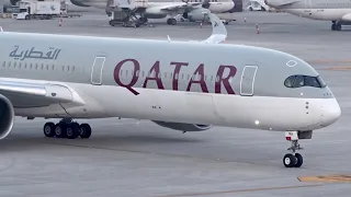 Morning Planespotting at Doha Hamad International Airport
