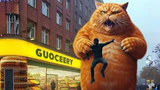 Cat saves the day at the supermarket 😻😻 #cats #catstory