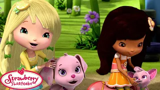 Strawberry Shortcake 🍓 A Boy and His Dogs! 🍓 2 hour Compilations 🍓 Cartoons for Kids