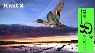 2021-22 Arkansas Duck Season - Hunt 2 - Rice Fields and Fast Ducks