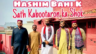 Visit Hashim Mahmood pigeons | Zohaib Bahi K Sath  || Nasir pigeons Official