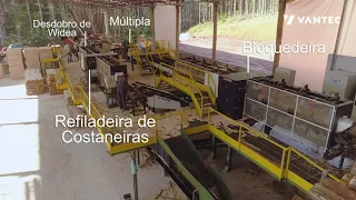 SERRARIA DE EUCALIPTO EM SÃO PAULO | EUCALYPTUS SAWMILL | VANTEC