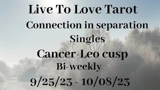 ♋️ Cancer ♌️ Leo cusp love💫They want you in their life💫