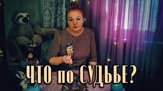 Что по судьбе мчится, что СОВСЕМ СКОРО случится?