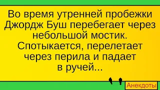 Как Буш упал в ручей с мостика... Лучшие длинные анекдоты и жизненные истории