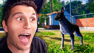 Ich adoptiere einen Kampfhund | Tierheim Simulator