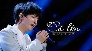 [Vietsub LIVE] Cá lớn - Châu Thâm