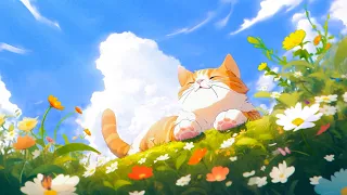 Cat & Sky 🐈☁️ Lofi Meow x Lofi Hip Hop Radio 😸 Relax / Healing / Sleep [ Lofi Vibes - Beats Chill ]