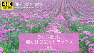 [Healing] Spectacular views of Japan! "Hokkaido" Vast land, nature, and gentle piano BGM