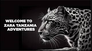 Welcome To Zara Tanzania Adventures
