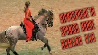 Андалузский жеребец - глаз не оторвать! Spanish Horse Show /Андалузская порода лошадей #Иппосфера