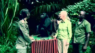 P4A The Jane Goodall Institute for Chimpanzee's