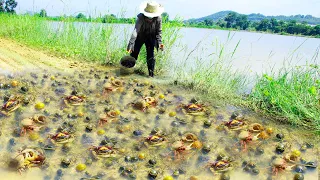 woman skill catch lots of crabs and snails flooding on the road by best hand - Best fishing season