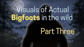 SAROY SASQUATCH TRUE Visuals Bigfoot on a Video Camera | National Geographic