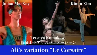 【厳選バレエ】熊川哲也,Kimin Kim等6人海賊よりアリのVa.| Who is your favorite  ballerina in  Ali's variation Le Corsaire?