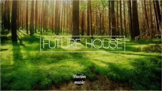 Best EDM Future House Mix 2016 Vol.1