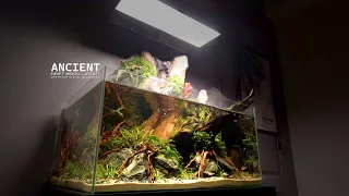 How To Do Aquatic Plants Waterfall Aquaterrarium l Make 4 Terrarium