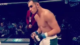 Elkukui & Tony Ferguson