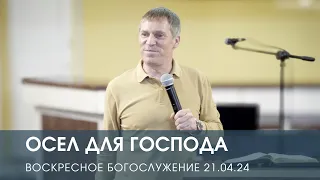 ОСЕЛ ДЛЯ ГОСПОДА — Дмитрий Андреев (21.04.2024)