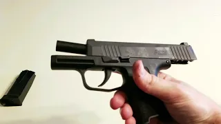 Sig P365 field strip!