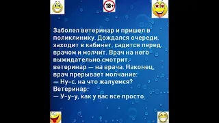 юмор про ветеринара