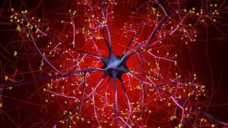 Each new memory formation results in neuronal damage in your brain cells.