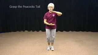 8-Form Tai Chi (Modified)