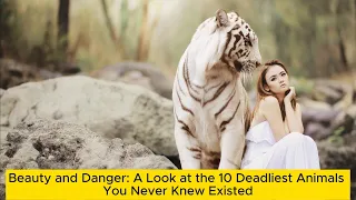 Beauty and Danger: A Look at the 10 Deadliest Animals You Never Knew Existed