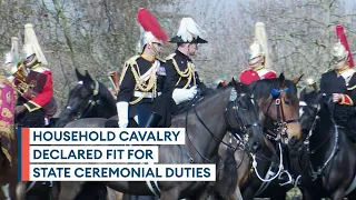 Household Cavalry parade around Hyde Park in annual inspection