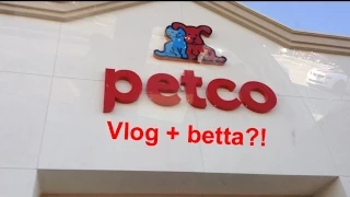 Petco Vlog + New Betta?!?!?
