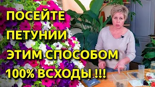 Как правильно посеять петунии. ПОСЕВ ПЕТУНИЙ удаётся всегда! Будете с цветами!