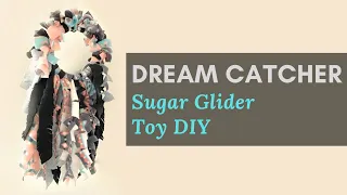 Dream Catcher Sugar Glider DIY Toy