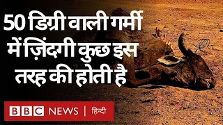 Heat and Summer: Rajasthan के Jaisalmer का सबसे गर्म इलाका, जहां ज़िंदगी हर घड़ी एक इम्तहान है (BBC)