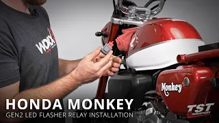 How to install an LED Flasher Relay on a 2019+ Honda Monkey by TST Industries