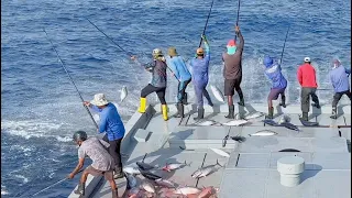 FISHING | TUNA | MALDIVES 🎣