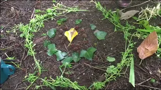 Andy Goldsworthy style art for children.