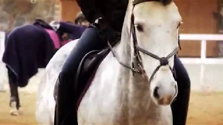 Fire On Fire I Equestrian Music Video