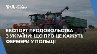 Експорт продовольства з України: що про це кажуть фермери у Польщі.