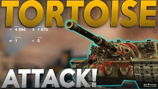 WOTB | TORTOISE SO GOOD YET SO LITTLE!