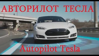 Автопилот Тесла Спасает Жизни Людей на Дороге  Autopilot Tesla