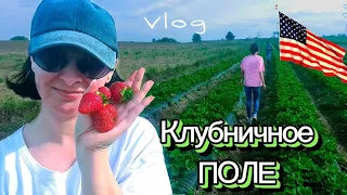 ВЛОГ🇺🇸/ЗАКУПКА ПРОДУКТОВ/СОБИРАЕМ КЛУБНИКУ/ЗАБОЛЕЛА #рекомендации #vlog #влог