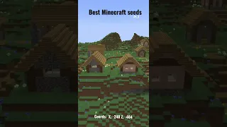 MINECRAFT BEST VILLAGE SEED 1.19