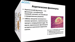 Лекция Гистология женской половой системы 1