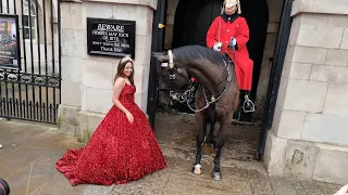 OMG 💕 Her KIND Control of the Reins Changed everything - Who is she? - Horse Guards in London