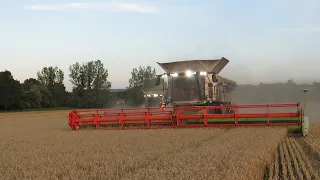 Búza aratás/Wheat harvest 2022 4x Claas lexion 8700,8700,660,7600 /INTRO/