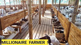 Best Methods For Raising Goats, Sheep, Poultry On a Free Range Farm! | FARM TOUR